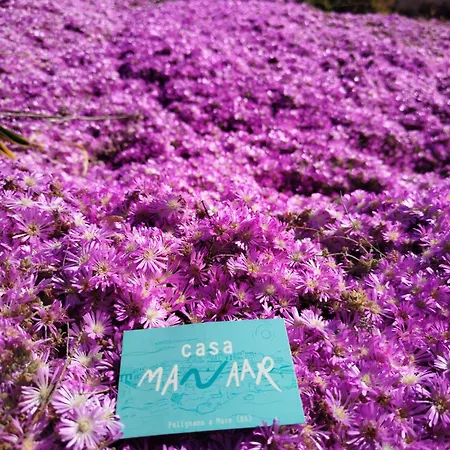 Casa Manaar * Polignano a Mare