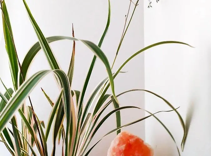 Casa Manaar Apartamento