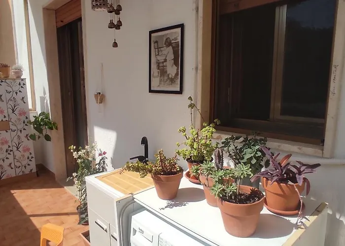 Casa Manaar Apartamento