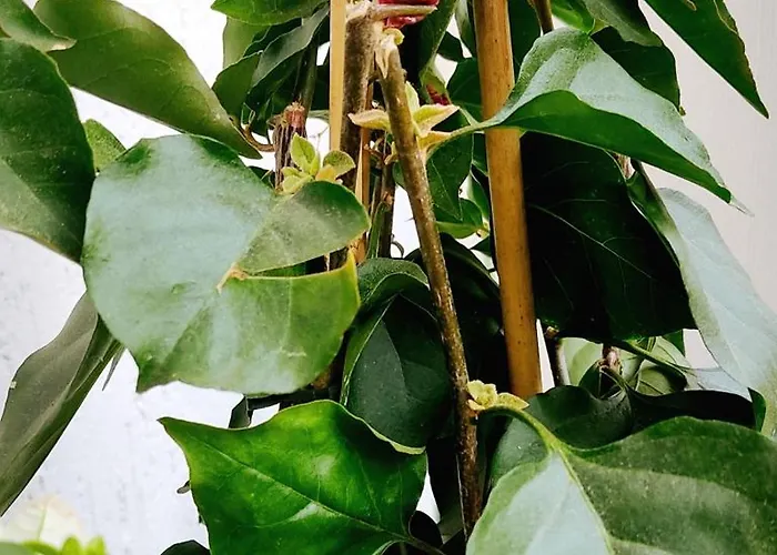 Casa Manaar Apartamento Polignano a Mare