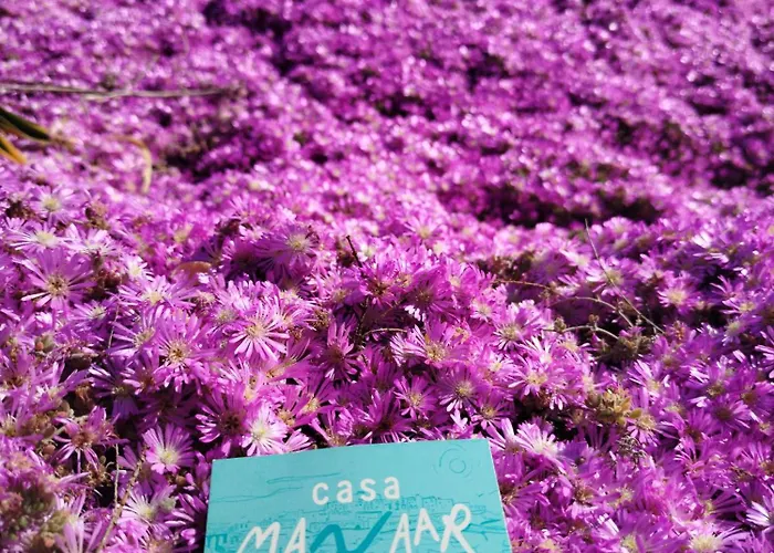 Casa Manaar * Polignano a Mare